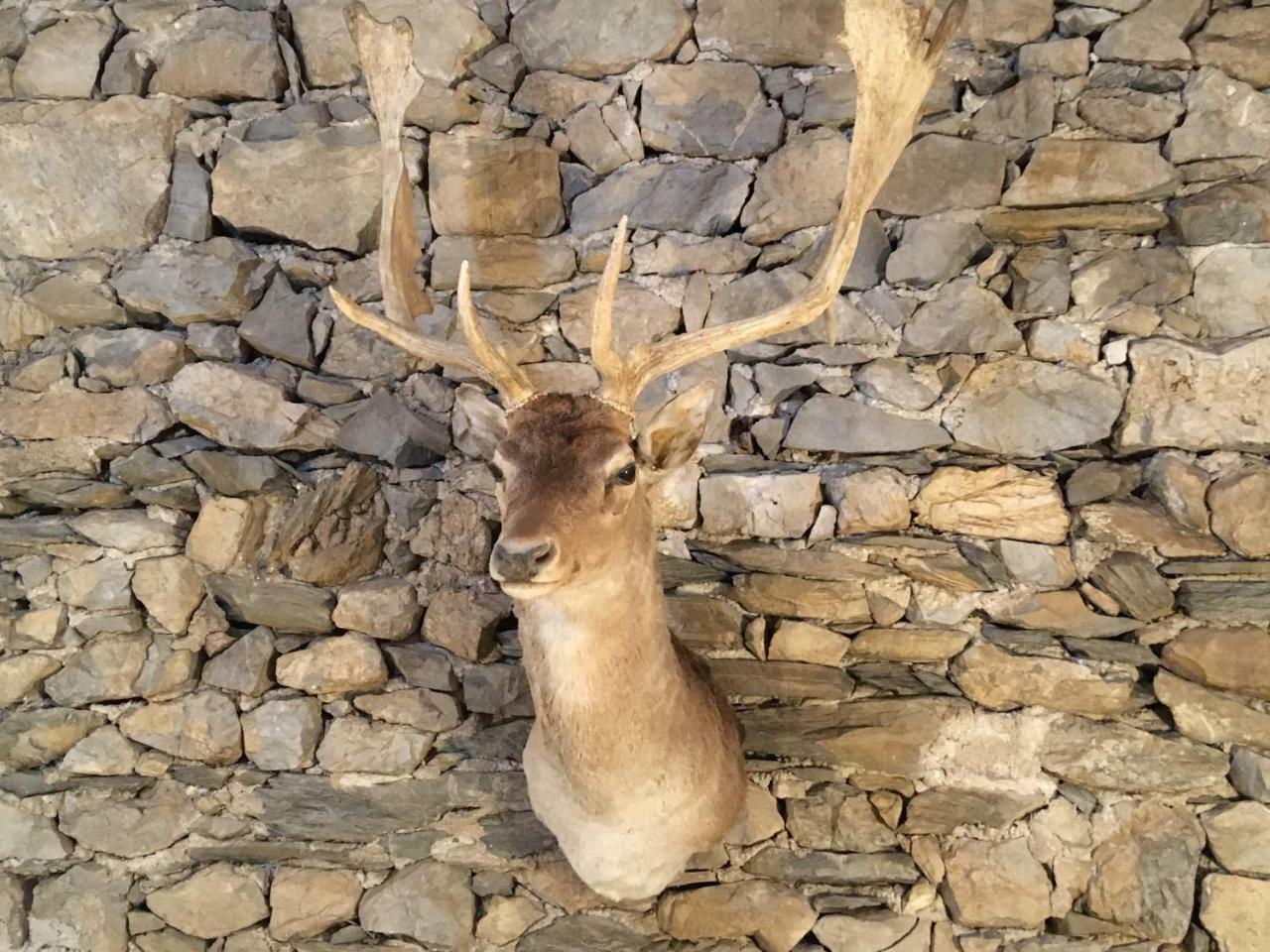 Appartamento Antica Casa Nella Venas Esterno foto